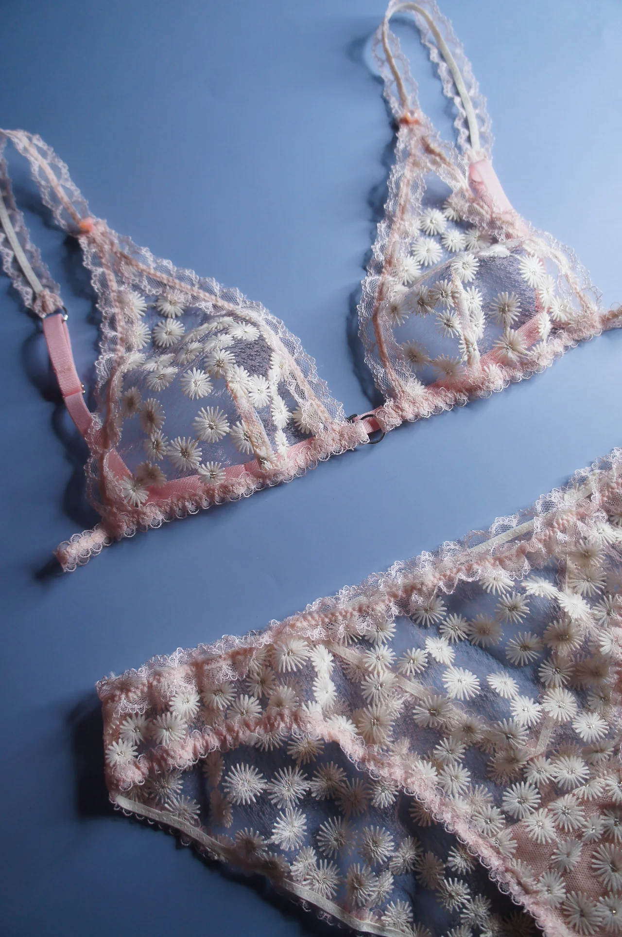 Dandelion Blush Pink Brief - Image 4