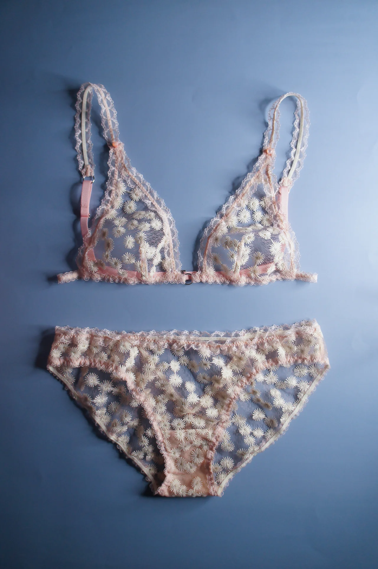 Dandelion Blush Pink Brief - Image 5